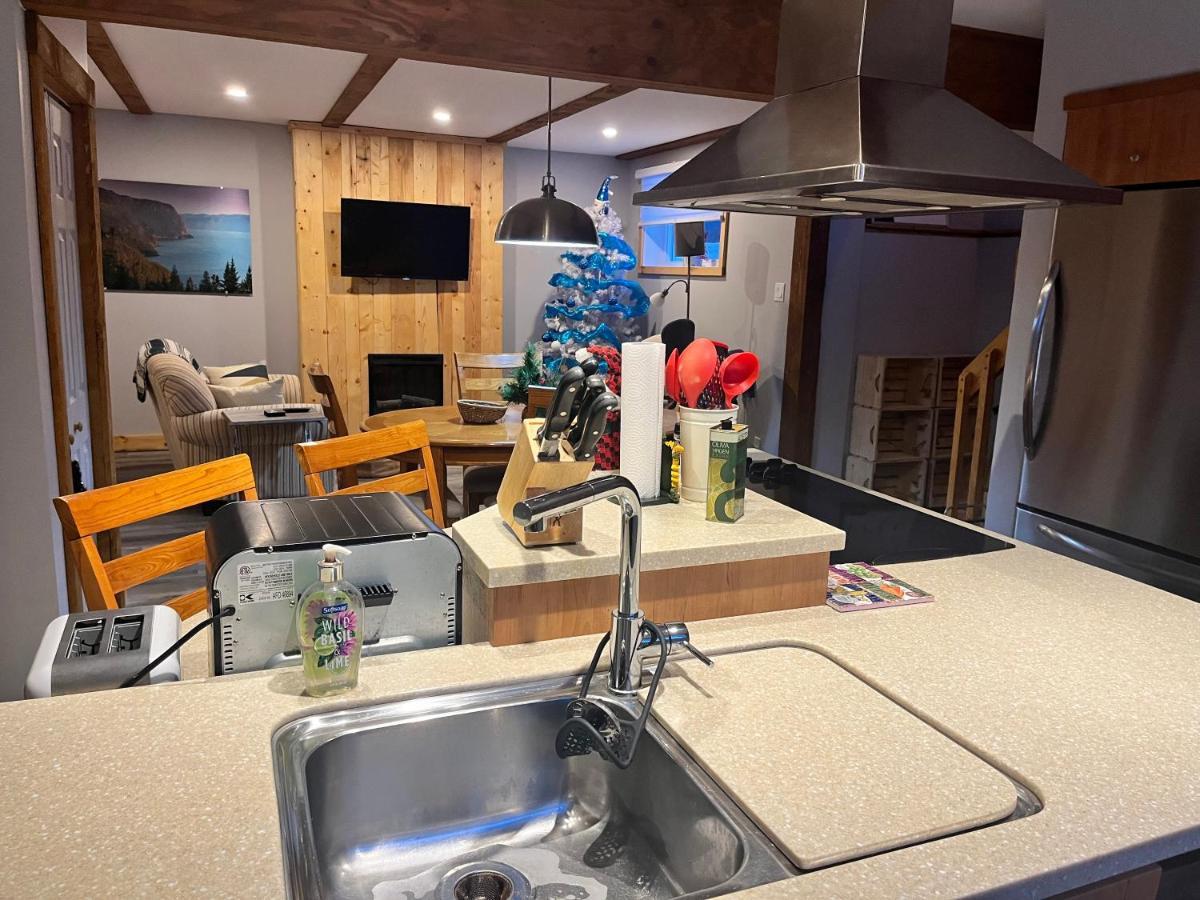 Appartement Mont Edouard, Hebergement Paisible A La Montagne L'Anse-Saint-Jean Ngoại thất bức ảnh