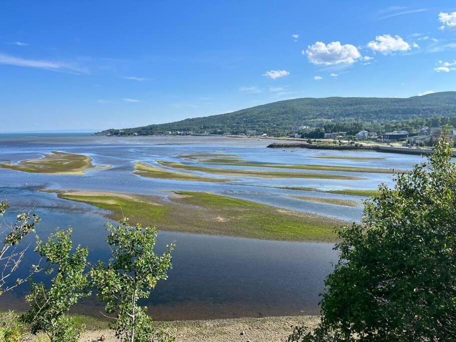 Appartement Mont Edouard, Hebergement Paisible A La Montagne L'Anse-Saint-Jean Ngoại thất bức ảnh