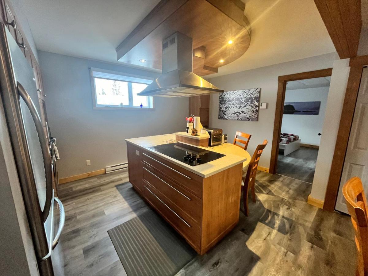 Appartement Mont Edouard, Hebergement Paisible A La Montagne L'Anse-Saint-Jean Ngoại thất bức ảnh